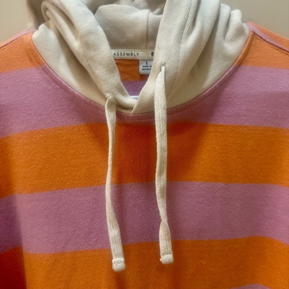 Free Assembly Striped Pastel Rugby Hoodie with Drawstring Hood- L - Picture 6 of 9